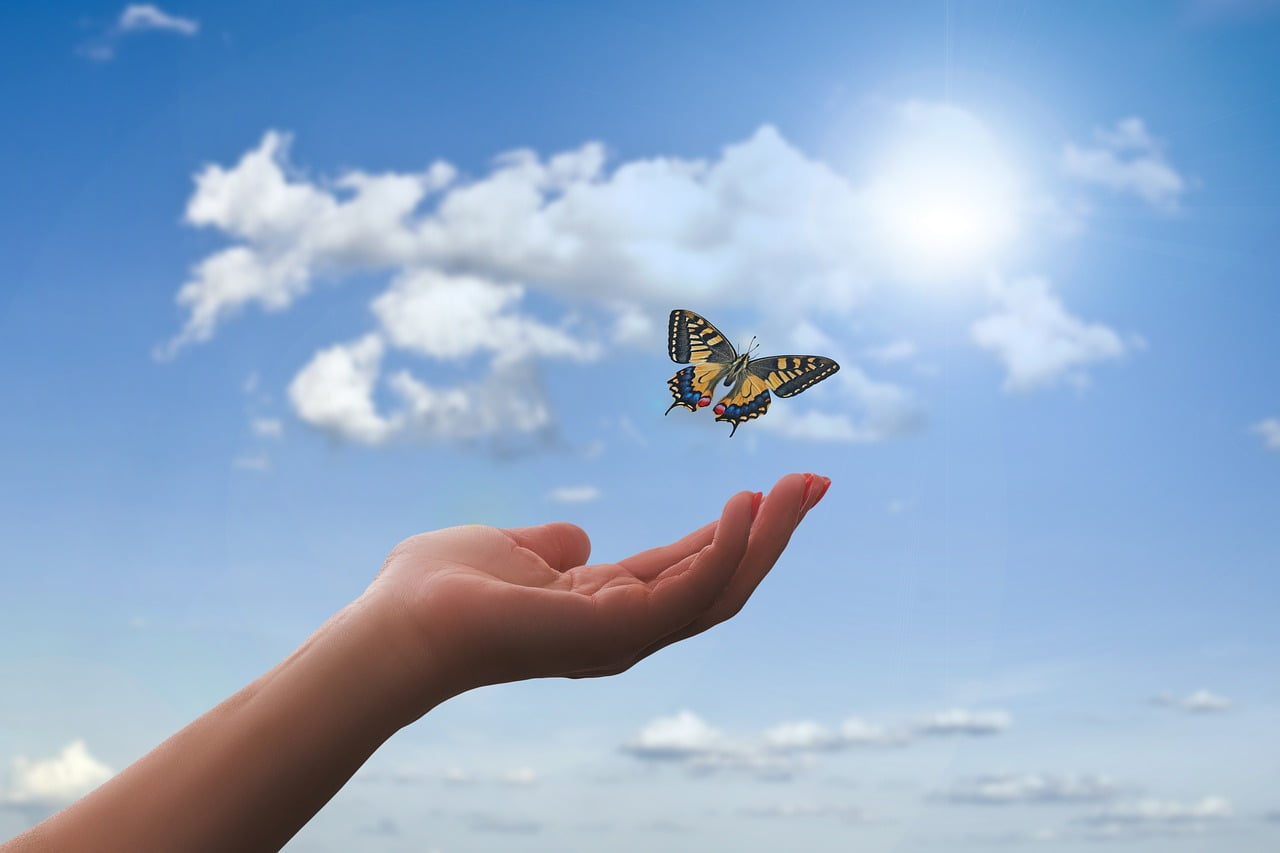 hand, butterfly, clouds, mano che vola la farfalla